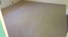 Carpet (after)