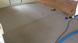 Carpet clean half completed (5)