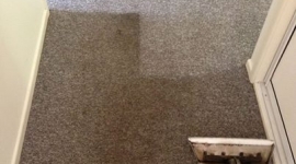 Carpet clean half completed (4)